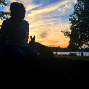 A woman and a bunny are silhouetted against the New York City sunset