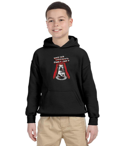 Bimble Janie Youth Heavy Blend Hoodie